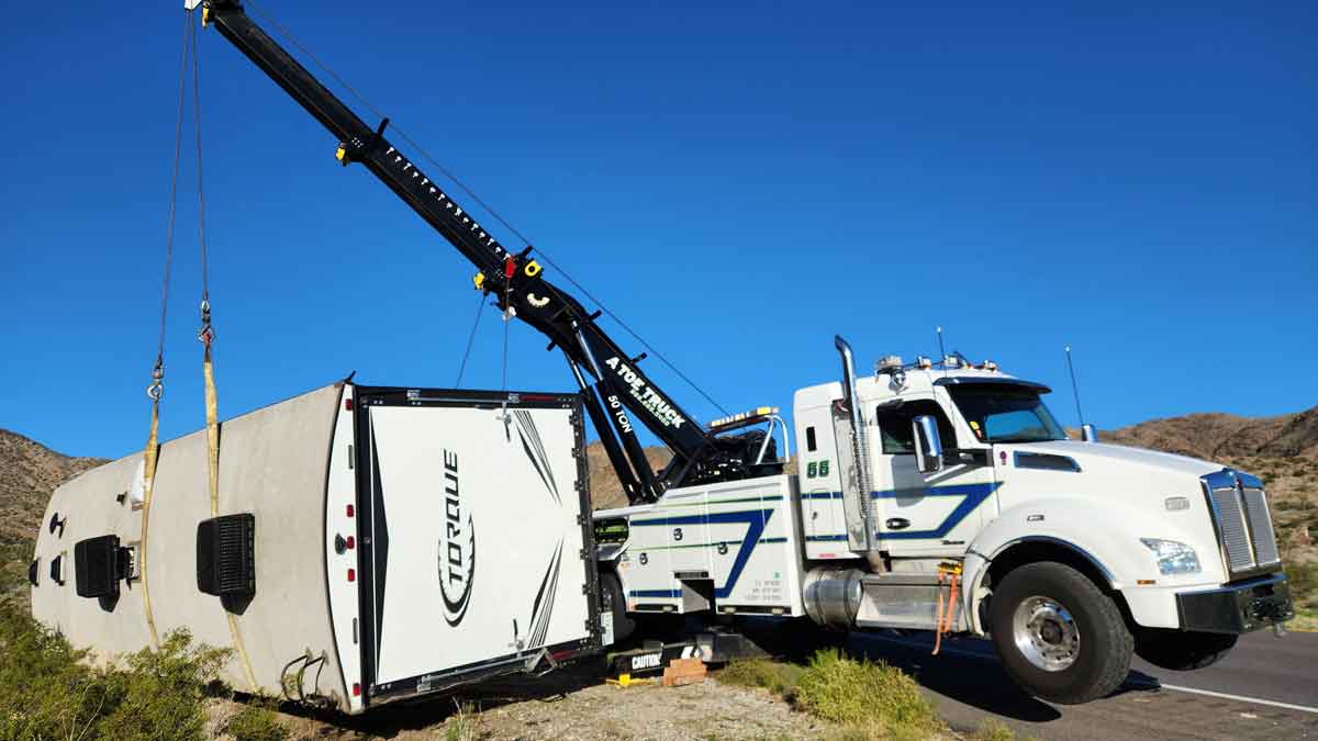 Heavy Duty Recovery Needles CA